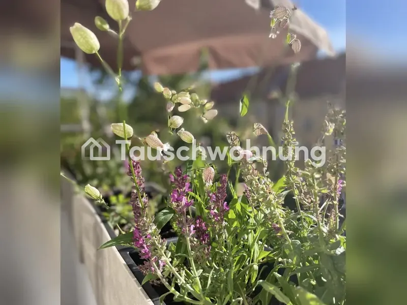 Tauschwohnung: 4 Zi.Wo. gegen 2,5 Zi.Wo. im Kiez — photo 1